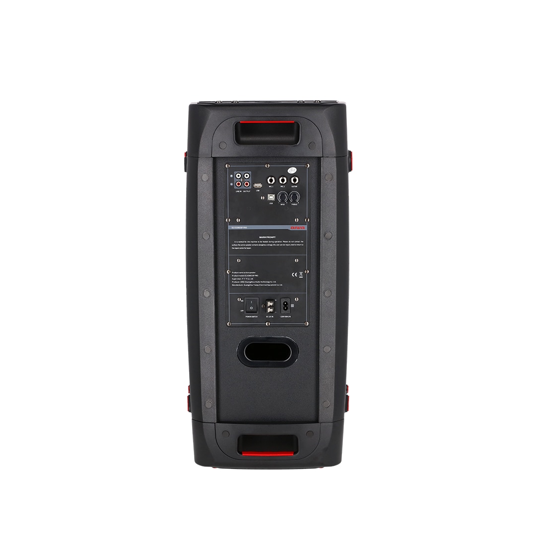 اسپیکر آیوا SS-X300DSP PRO