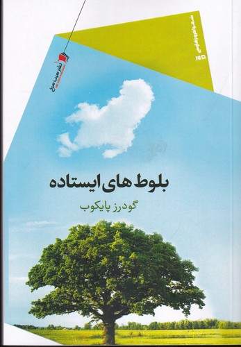 کتاب بلوطهای ایستاده نشر سیب سرخ کتاب بلوطهای ایستاده نشر سیب سرخ