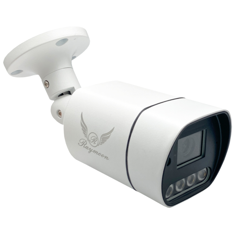 دوربین مداربسته تحت شبکه رایمون مدل بولت 60Q دوربین مداربسته تحت شبکه رایمون مدل بولت 60Q