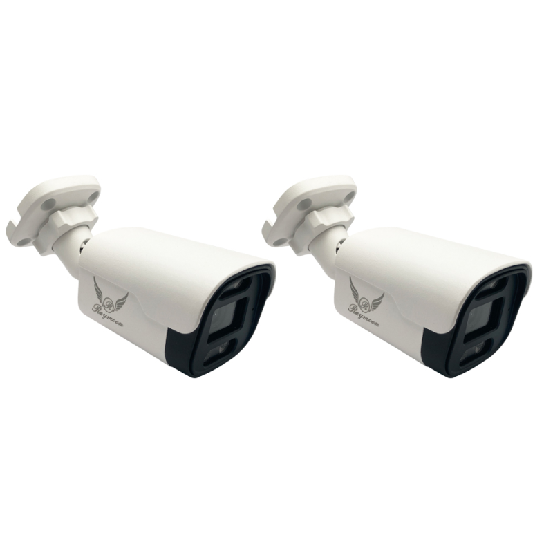 دوربین مداربسته تحت شبکه رایمون مدل 8235 بسته دو عددی 8 مگاپیکسل