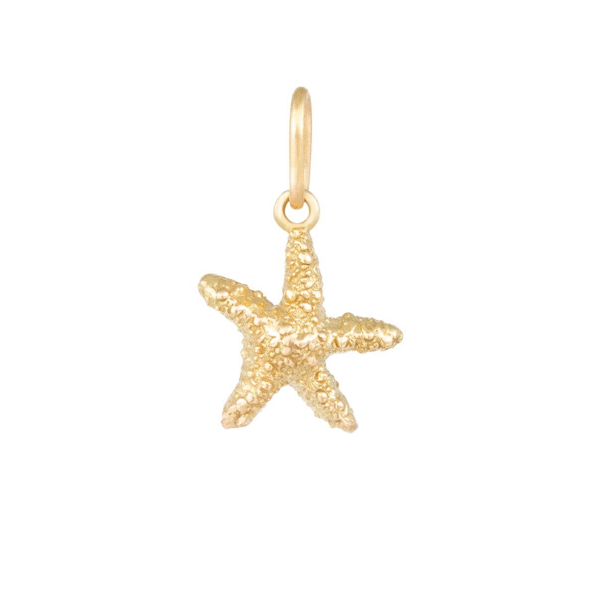 آویز طلا زنانه بان گالری مدل ستاره دریایی مینی آویز طلا زنانه بان گالری مدل ستاره دریایی مینی