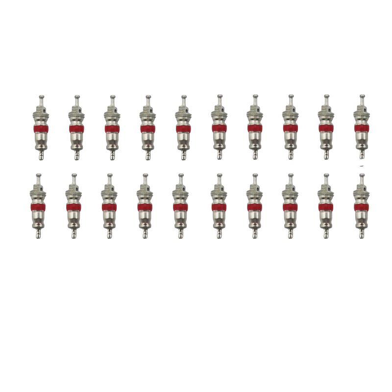 سوزن والف خودرو مدل YP-020 بسته 20 عددی سوزن والف خودرو مدل YP-020 بسته 20 عددی