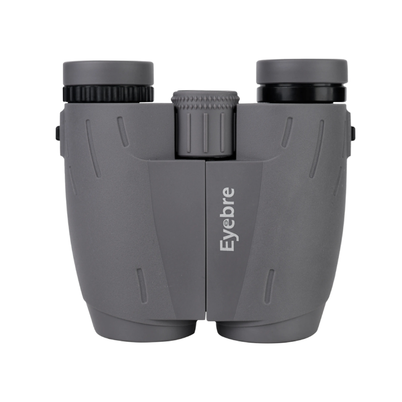 دوربین دوچشمی آی بر مدل BINOCULARS کد 10*25 دوربین دوچشمی آی بر مدل BINOCULARS کد 10*25