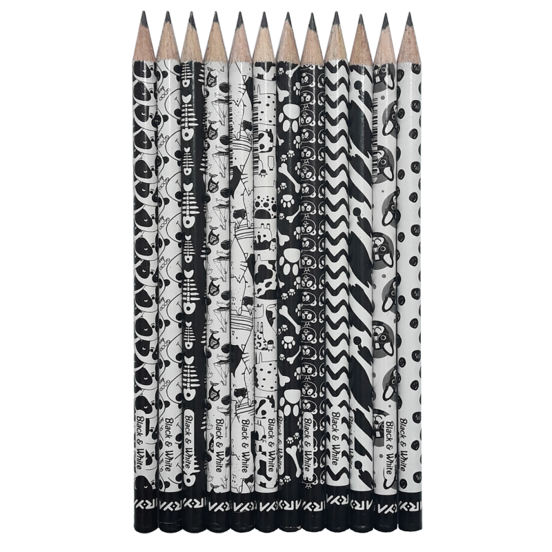 مداد مشکی آریا مدل BLACK - WHITE کد A2 بسته 12 عددی مداد مشکی آریا مدل BLACK - WHITE کد A2 بسته 12 عددی