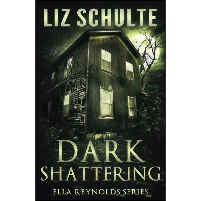 کتاب Dark Shattering اثر Liz Schulte انتشارات تازه ها