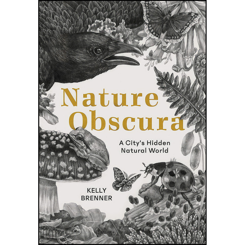 کتاب Nature Obscura اثر Kelly Brenner انتشارات Mountaineers Books کتاب Nature Obscura اثر Kelly Brenner انتشارات Mountaineers Books