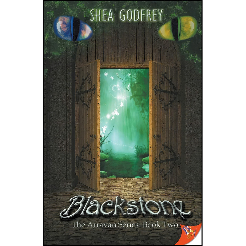 کتاب Blackstone اثر Shea Godfrey انتشارات Bold Strokes Books کتاب Blackstone اثر Shea Godfrey انتشارات Bold Strokes Books