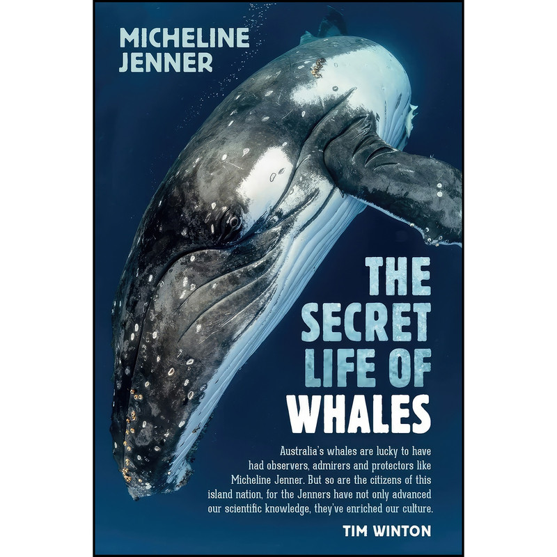 کتاب The Secret Life of Whales اثر Micheline Jenner انتشارات NewSouth کتاب The Secret Life of Whales اثر Micheline Jenner انتشارات NewSouth