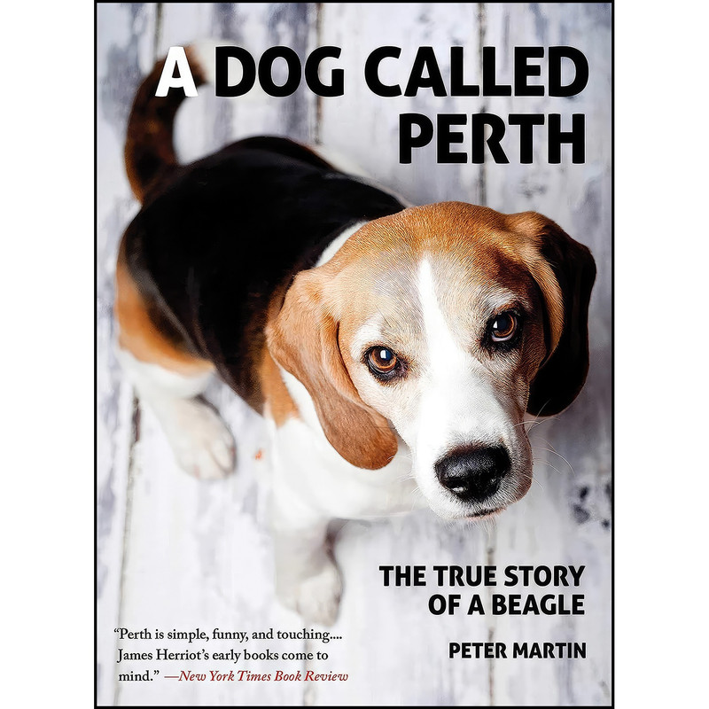 کتاب A Dog Called Perth اثر Peter Martin انتشارات Arcade کتاب A Dog Called Perth اثر Peter Martin انتشارات Arcade