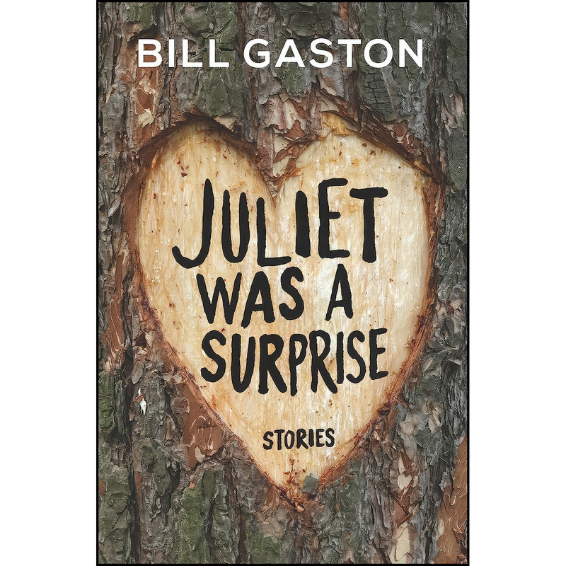 کتاب Juliet Was a Surprise اثر Bill Gaston انتشارات Hamish Hamilton کتاب Juliet Was a Surprise اثر Bill Gaston انتشارات Hamish Hamilton