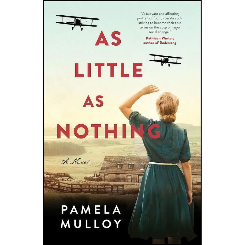 کتاب As Little As Nothing اثر Pamela Mulloy انتشارات ECW Press کتاب As Little As Nothing اثر Pamela Mulloy انتشارات ECW Press