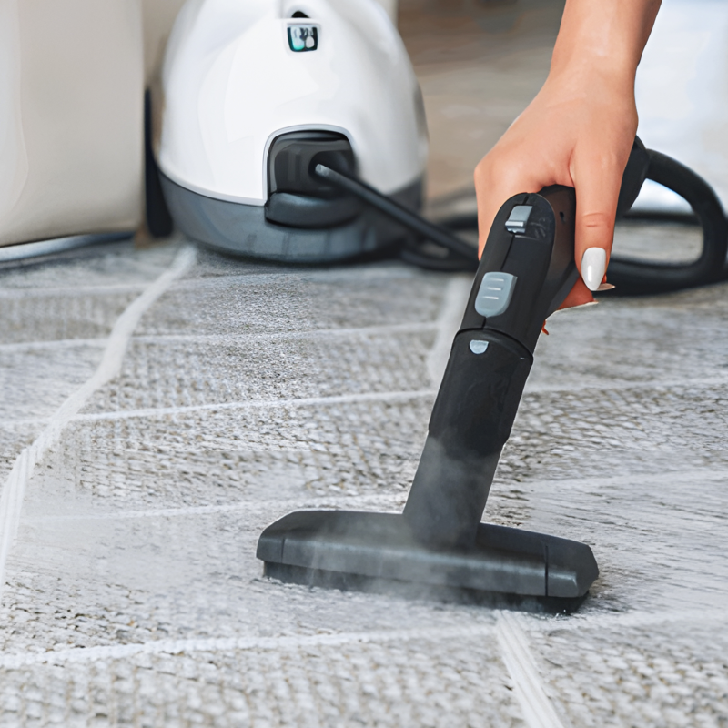 بخارشوی نانیوا مدل NS-8550