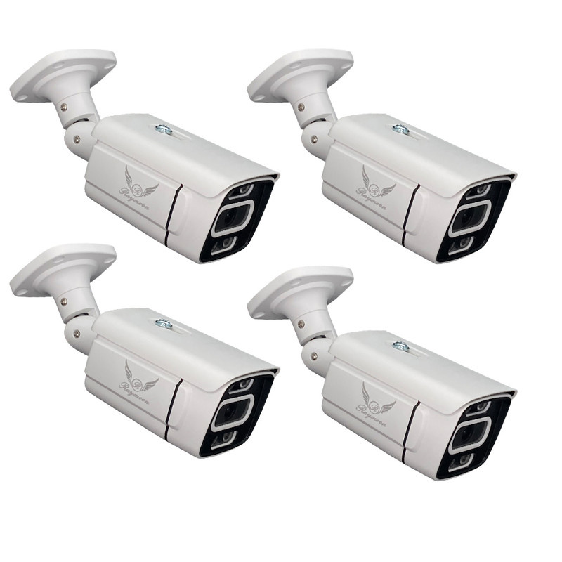 دوربین مداربسته تحت شبکه رایمون مدل پنج مگاپیکسل کد 8302-POE بسته چهار عددی