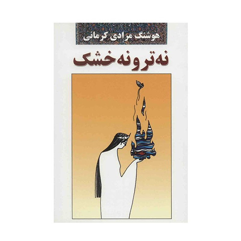 کتاب نه تر و نه خشک اثر هوشنگ مرادی کرمانی انتشارات معین کتاب نه تر و نه خشک اثر هوشنگ مرادی کرمانی انتشارات معین