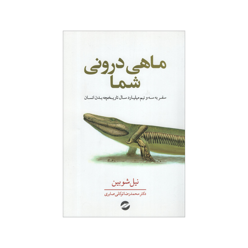 کتاب ماهی درونی شما اثر نیل شوبین نشر معین کتاب ماهی درونی شما اثر نیل شوبین نشر معین