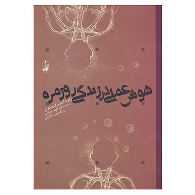 کتاب هوش عملی در زندگی روزمره اثر رابرت استرنبگ و دیگران کتاب هوش عملی در زندگی روزمره اثر رابرت استرنبگ و دیگران