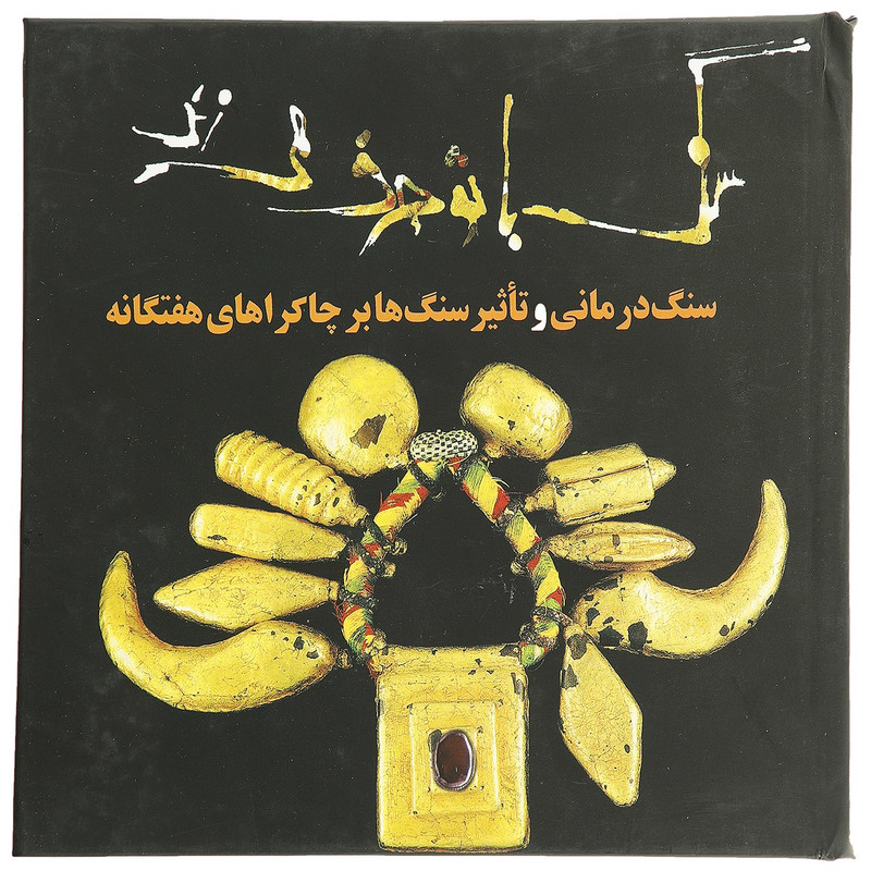 کتاب سنگ با تو حرف می زند اثر دنیس ویچلو براون کتاب سنگ با تو حرف می زند اثر دنیس ویچلو براون