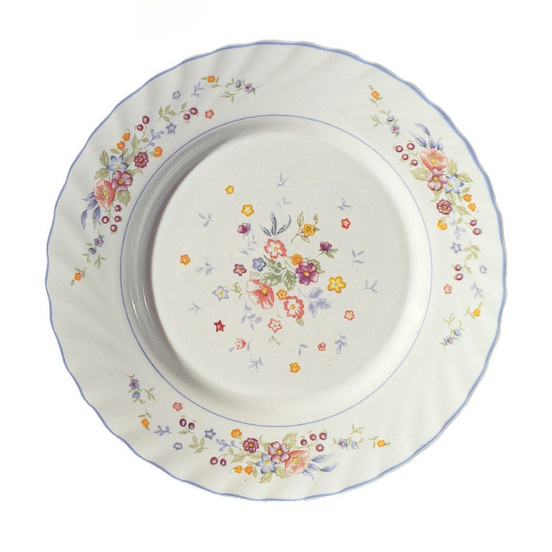 بشقاب غذاخوری لومینارک مدل VIC25 بسته 6 عددی بشقاب غذاخوری لومینارک مدل VIC25 بسته 6 عددی