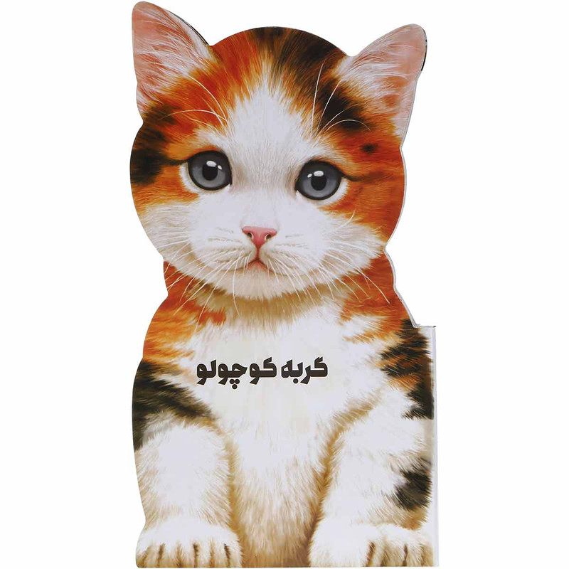 کتاب گربه کوچولو مجموعه حیوانات کوچک اثر جیووانی کاویزل انتشارات بین المللی گاج کتاب گربه کوچولو مجموعه حیوانات کوچک اثر جیووانی کاویزل انتشارات بین المللی گاج