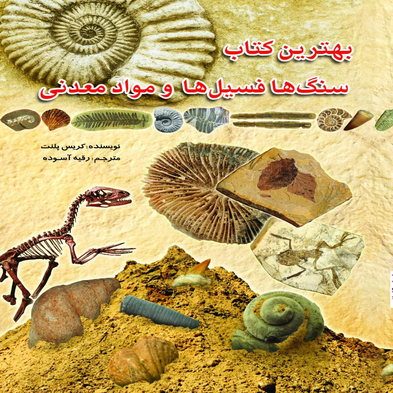 کتاب سنگ ها فسیل ها و مواد معدنی اثر کریس پلنت کتاب سنگ ها فسیل ها و مواد معدنی اثر کریس پلنت