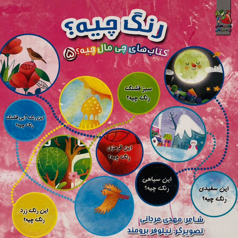 کتاب كتاب چی مال چيه 5 رنگ چيه؟ اثر مهدی مردانی انتشارات سايه گستر