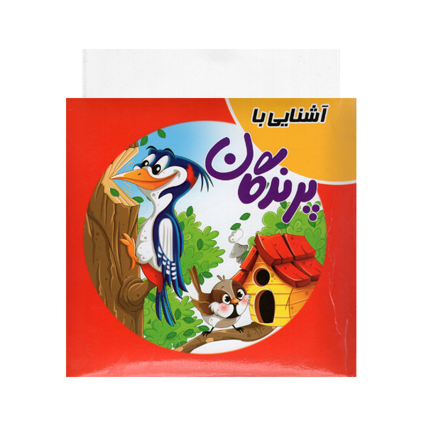 کتاب آشنایی با پرندگان اثر سمیه حسینی انتشارات آدرینا کتاب آشنایی با پرندگان اثر سمیه حسینی انتشارات آدرینا