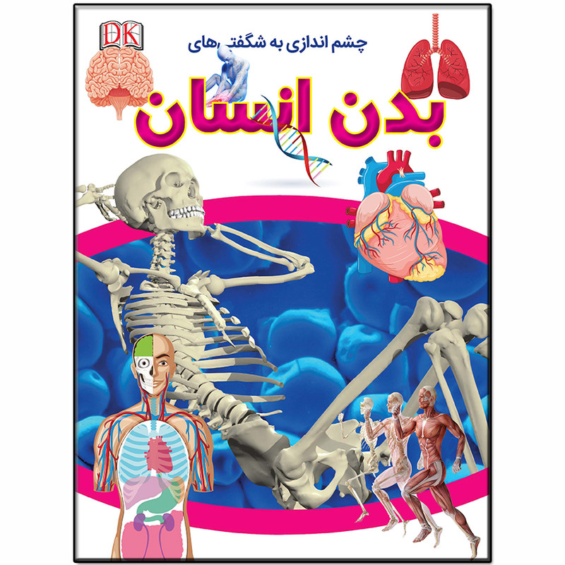 کتاب چشم اندازی به شگفتی های بدن انسان اثر کارولین استمپس انتشارات فرشته کتاب چشم اندازی به شگفتی های بدن انسان اثر کارولین استمپس انتشارات فرشته