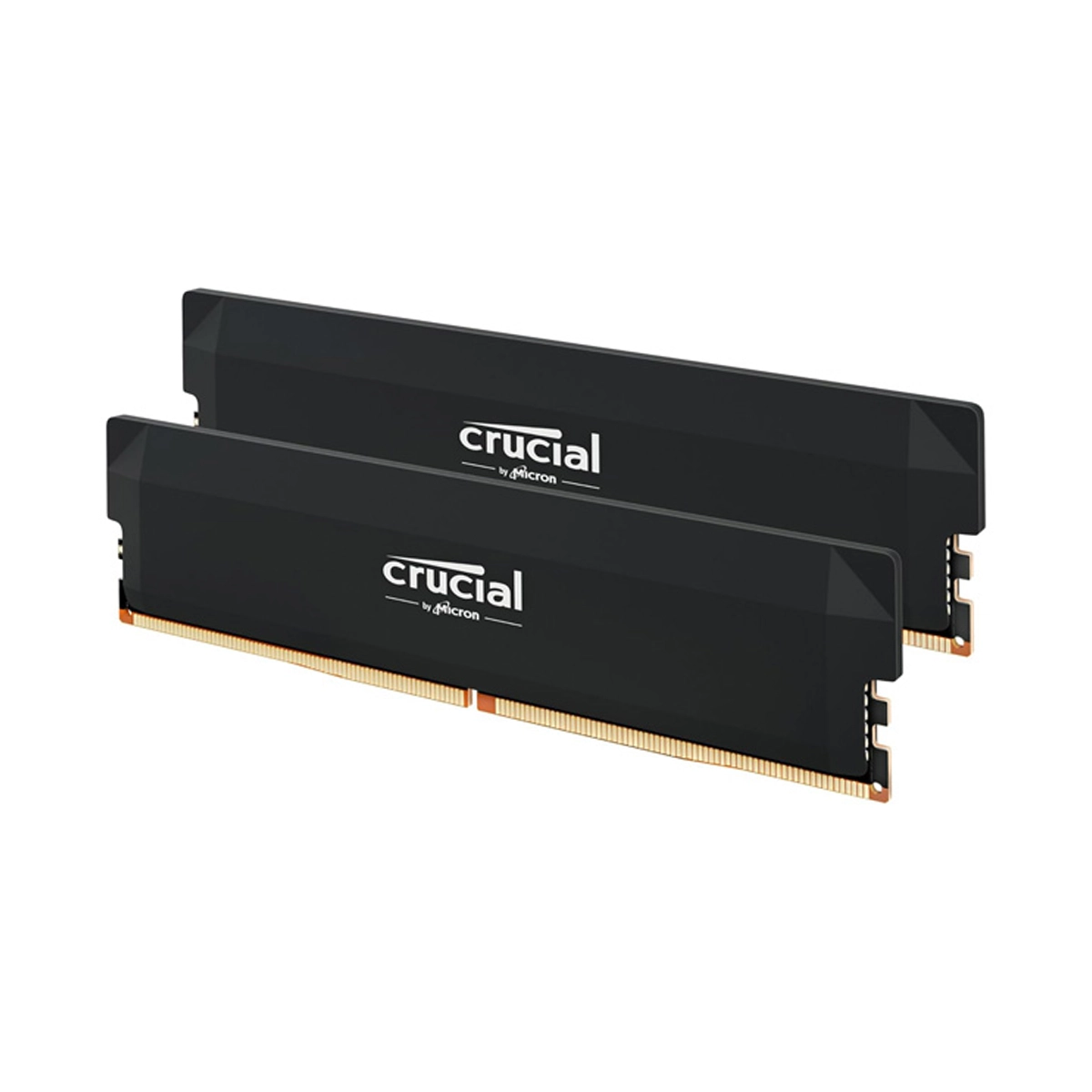 رم کامپیوتر DDR5 دو کاناله 6400 مگاهرتز CL38 کروشیال مدل Pro ظرفیت 32 گیگابایت رم کامپیوتر DDR5 دو کاناله 6400 مگاهرتز CL38 کروشیال مدل Pro ظرفیت 32 گیگابایت