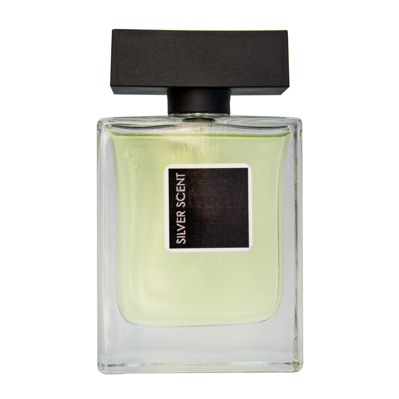 ادو تویلت مردانه پرستیژ مدل Silver Scent حجم 100 میلی لیتر ادو تویلت مردانه پرستیژ مدل Silver Scent حجم 100 میلی لیتر