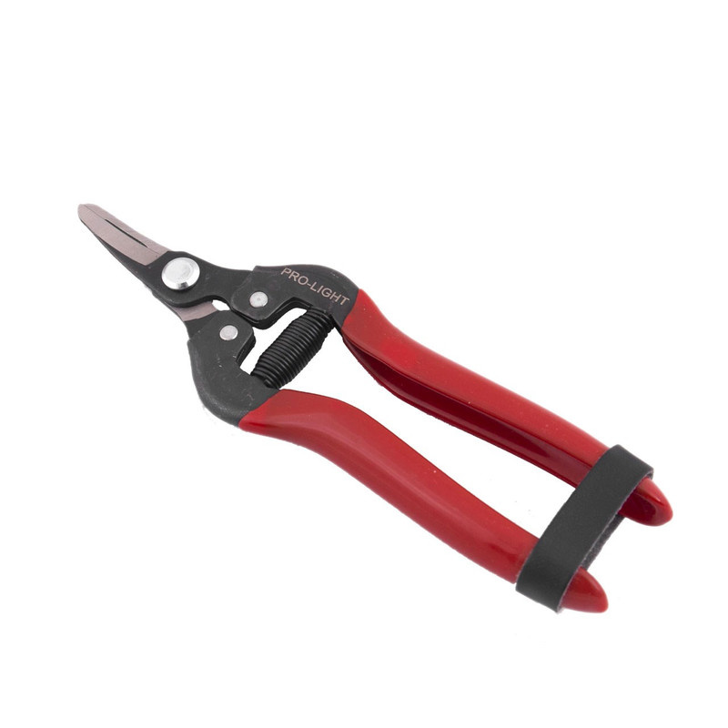 قیچی میوه چینی لایت مدل JH-803B1 قیچی میوه چینی لایت مدل JH-803B1