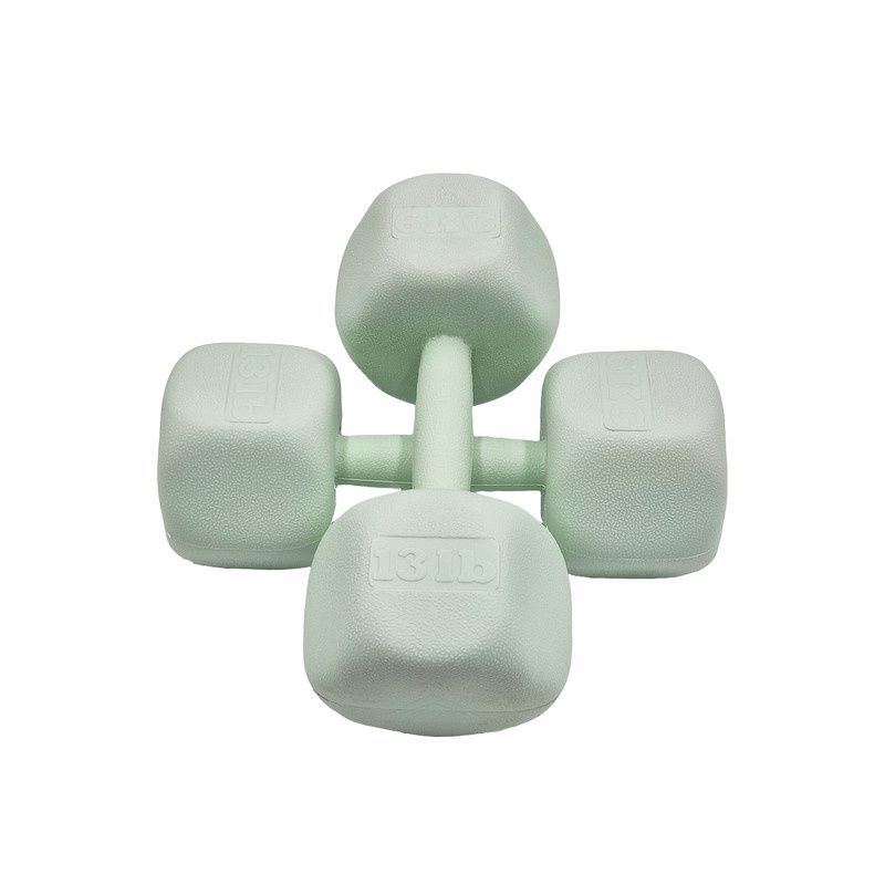 دمبل رادیس فیت مدل RPHF-6000 وزن 6 کیلوگرم بسته دو عددی