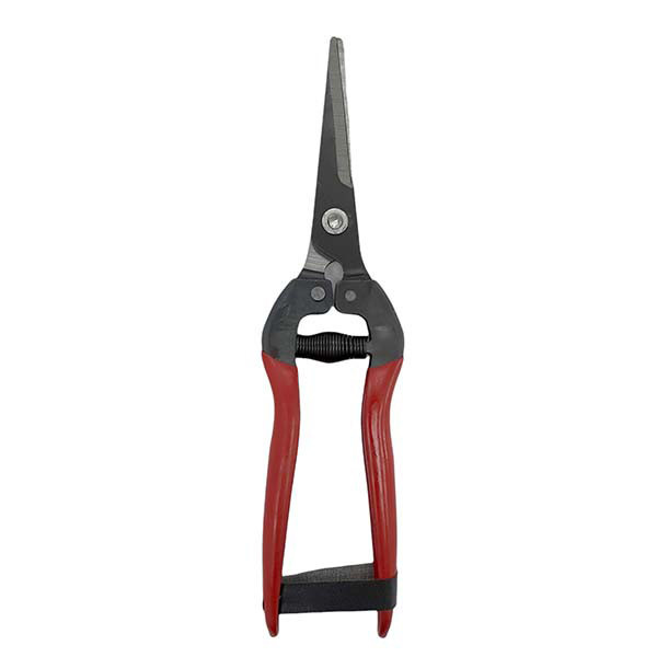 قیچی میوه چینی مدل Pruning Scissors قیچی میوه چینی مدل Pruning Scissors