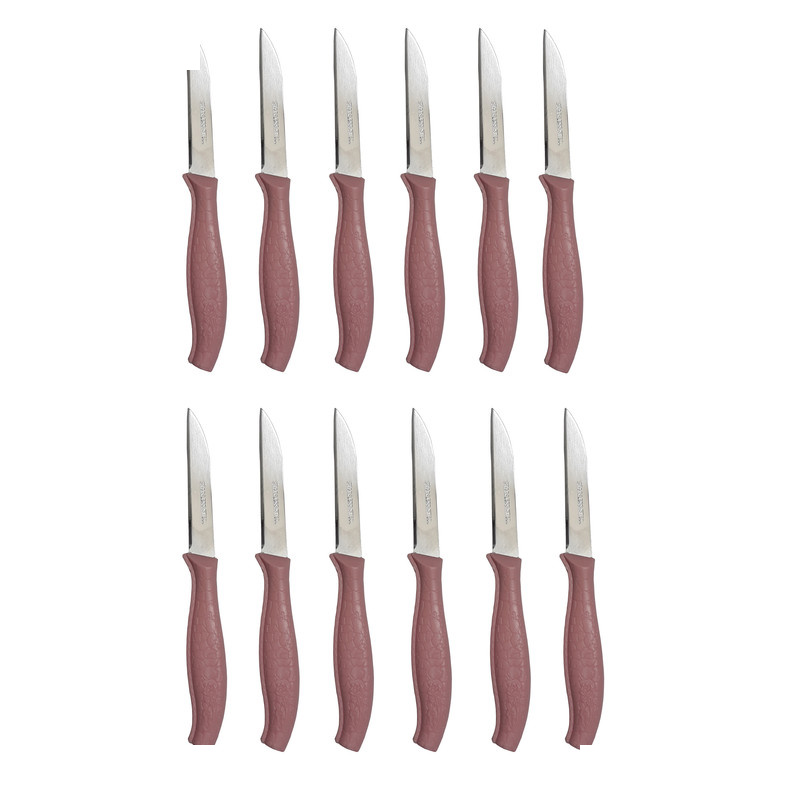 کارد میوه خوری بیوتی کد 01 بسته 12 عددی