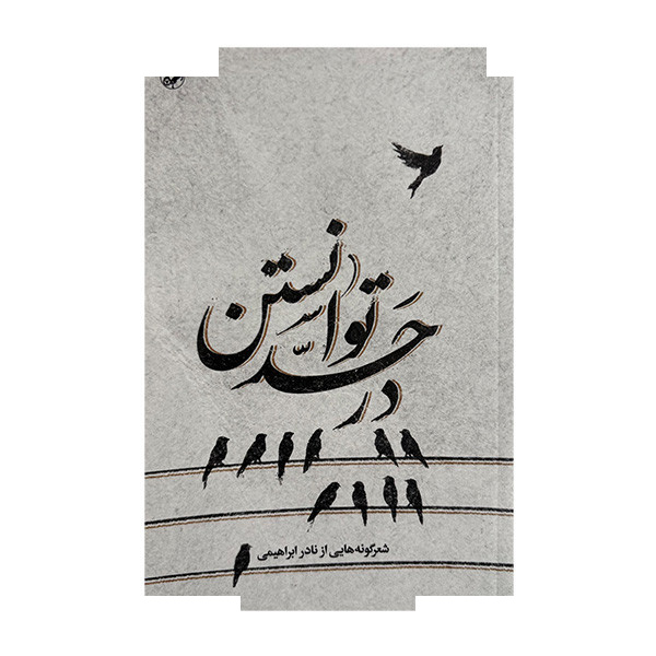 کتاب در حد توانستن اثر نادر ابراهیمی نشر امیر کبیر کتاب در حد توانستن اثر نادر ابراهیمی نشر امیر کبیر