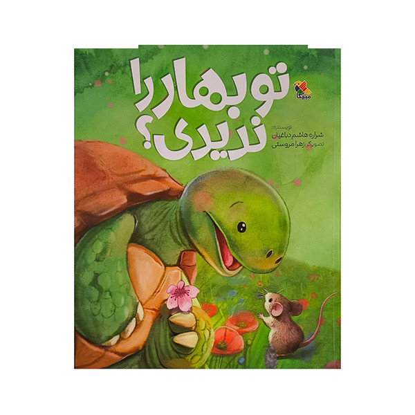 کتاب تو بهار را ندیدی اثر شراره هاشم دباغیان انتشارات مبتکران کتاب تو بهار را ندیدی اثر شراره هاشم دباغیان انتشارات مبتکران