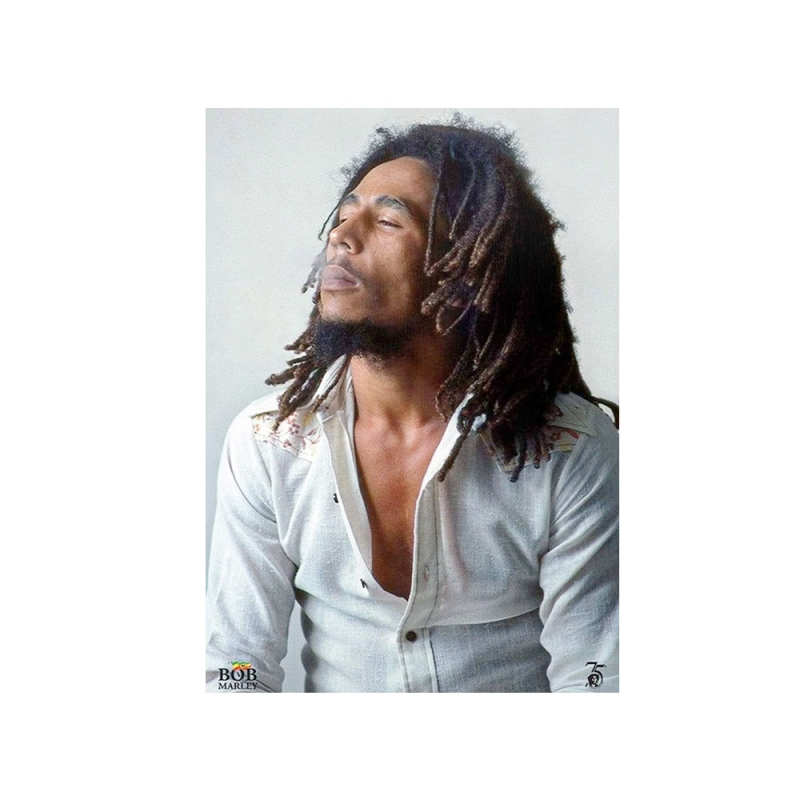 متال پوستر مستر پیکد طرح Bob Marley باب مارلی کد PCD-MB1058 متال پوستر مستر پیکد طرح Bob Marley باب مارلی کد PCD-MB1058