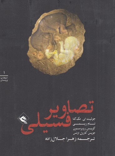 کتاب انتخاب پریان 1: تصاویر فسیلی نشر پریان کتاب انتخاب پریان 1: تصاویر فسیلی نشر پریان