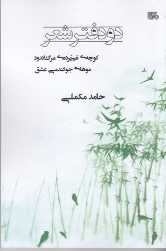 کتاب دودفتر شعر نشر بوی کاغذ کتاب دودفتر شعر نشر بوی کاغذ