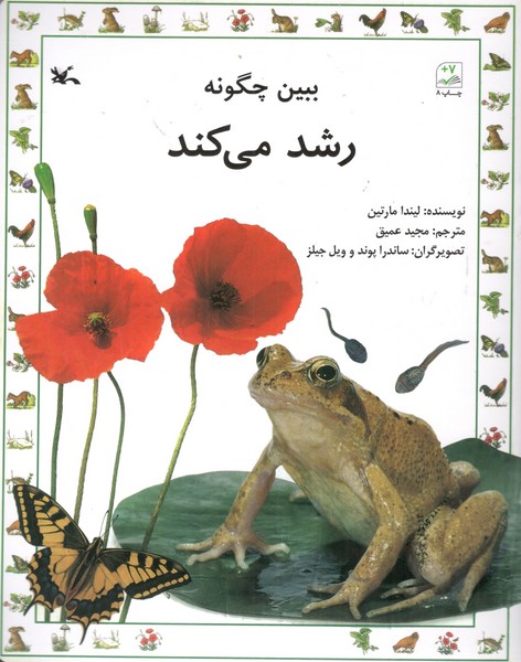 کتاب ببین چگونه رشد میکند نشر کانون پرورش فکری کودکان و نوجوانان کتاب ببین چگونه رشد میکند نشر کانون پرورش فکری کودکان و نوجوانان