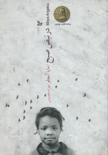 کتاب در نبض صبح نشر چلچله