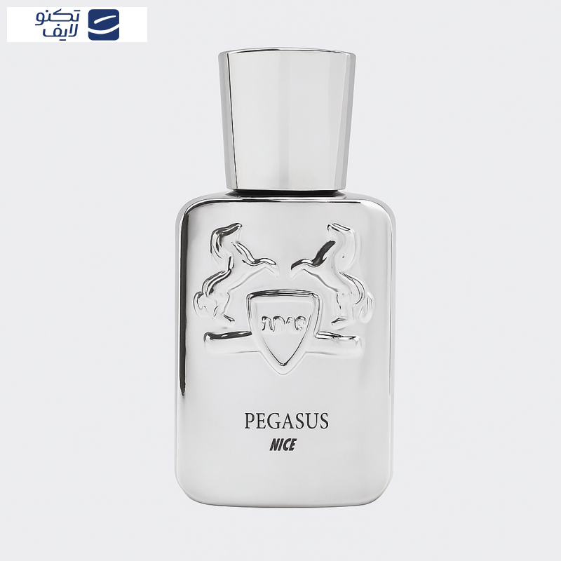 عطر جیبی مردانه نایس مدل پگاسوس با رایحه گرم حجم ۳۲ میلی‌لیتر