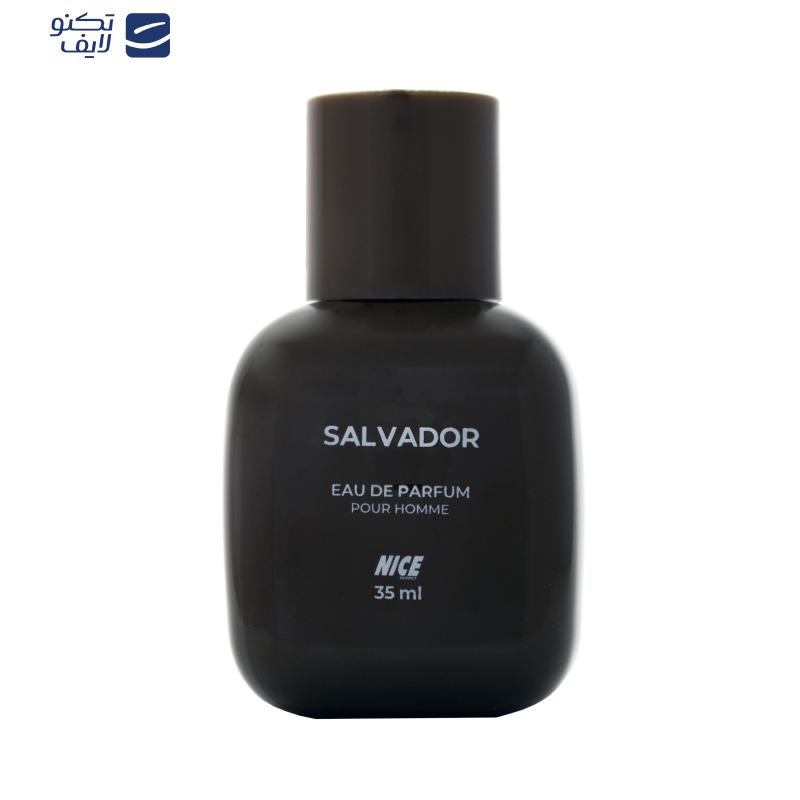 عطر جیبی مردانه نایس پاپت مدل Salvador حجم 35 میلی لیتر عطر جیبی مردانه نایس پاپت مدل Salvador حجم 35 میلی لیتر