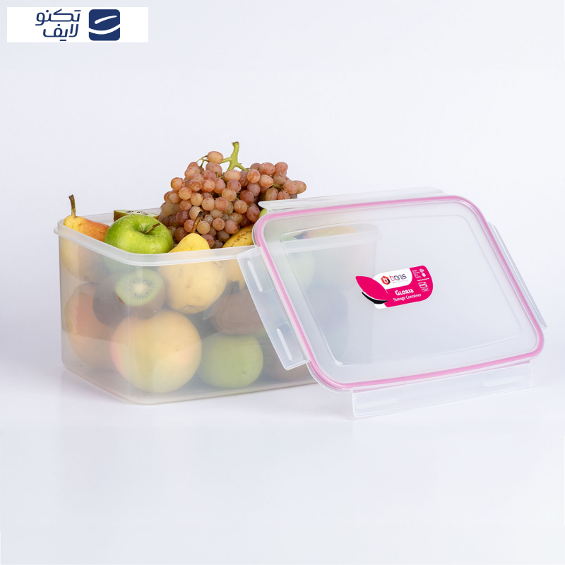 ظرف نگهدارنده بانیس مدل گلوریا کد 30283 ظرف نگهدارنده بانیس مدل گلوریا کد 30283