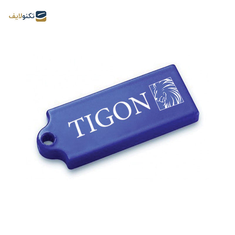 فلش مموری تایگون مدل P110 ظرفیت 16 گیگابایت