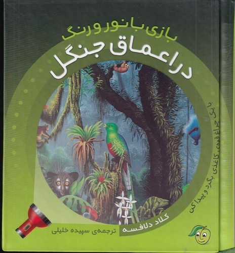 کتاب بازی با نور و رنگ: در اعماق جنگل نشر پیام مشرق کتاب بازی با نور و رنگ: در اعماق جنگل نشر پیام مشرق