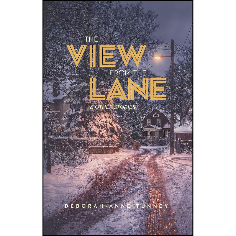 کتاب The View from the Lane اثر Deborah-Anne Tunney انتشارات Enfield & Wizenty کتاب The View from the Lane اثر Deborah-Anne Tunney انتشارات Enfield & Wizenty