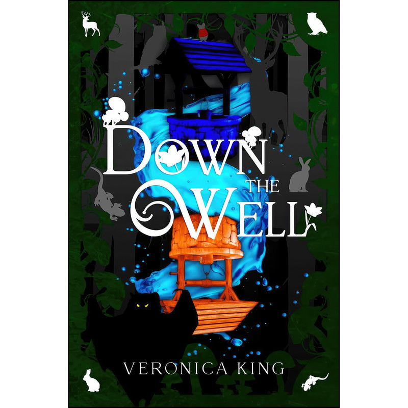 کتاب Down The Well اثر Veronica King انتشارات Emerge کتاب Down The Well اثر Veronica King انتشارات Emerge