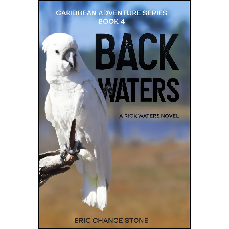 کتاب Back Waters اثر Eric Chance Stone انتشارات تازه ها کتاب Back Waters اثر Eric Chance Stone انتشارات تازه ها
