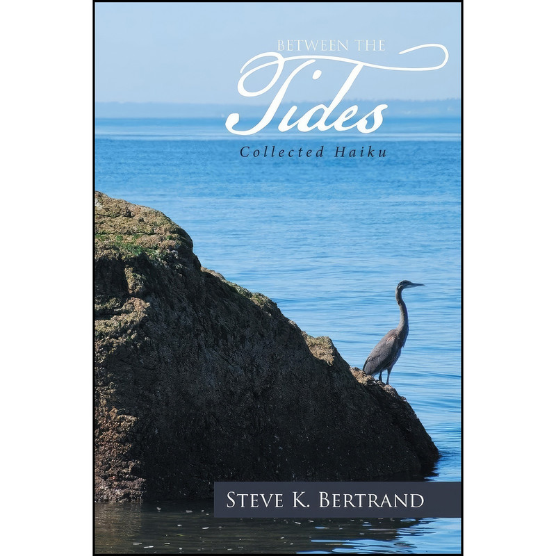 کتاب Between the Tides اثر Steve K. Bertrand انتشارات XLIBRIS کتاب Between the Tides اثر Steve K. Bertrand انتشارات XLIBRIS