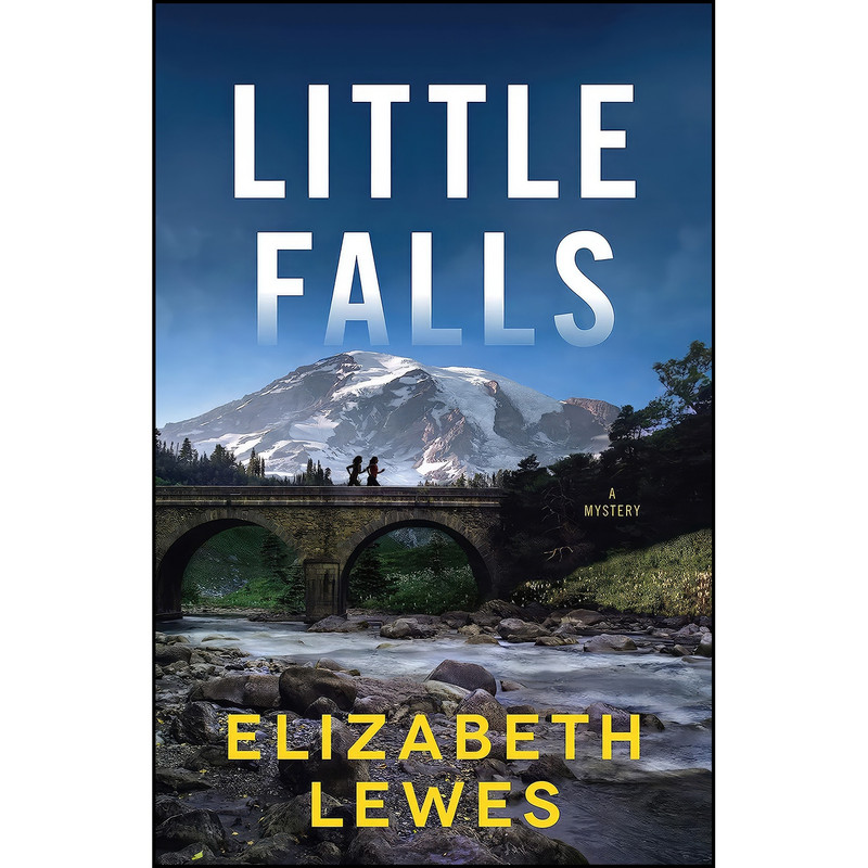 کتاب Little Falls اثر Elizabeth Lewes انتشارات Crooked Lane Books کتاب Little Falls اثر Elizabeth Lewes انتشارات Crooked Lane Books